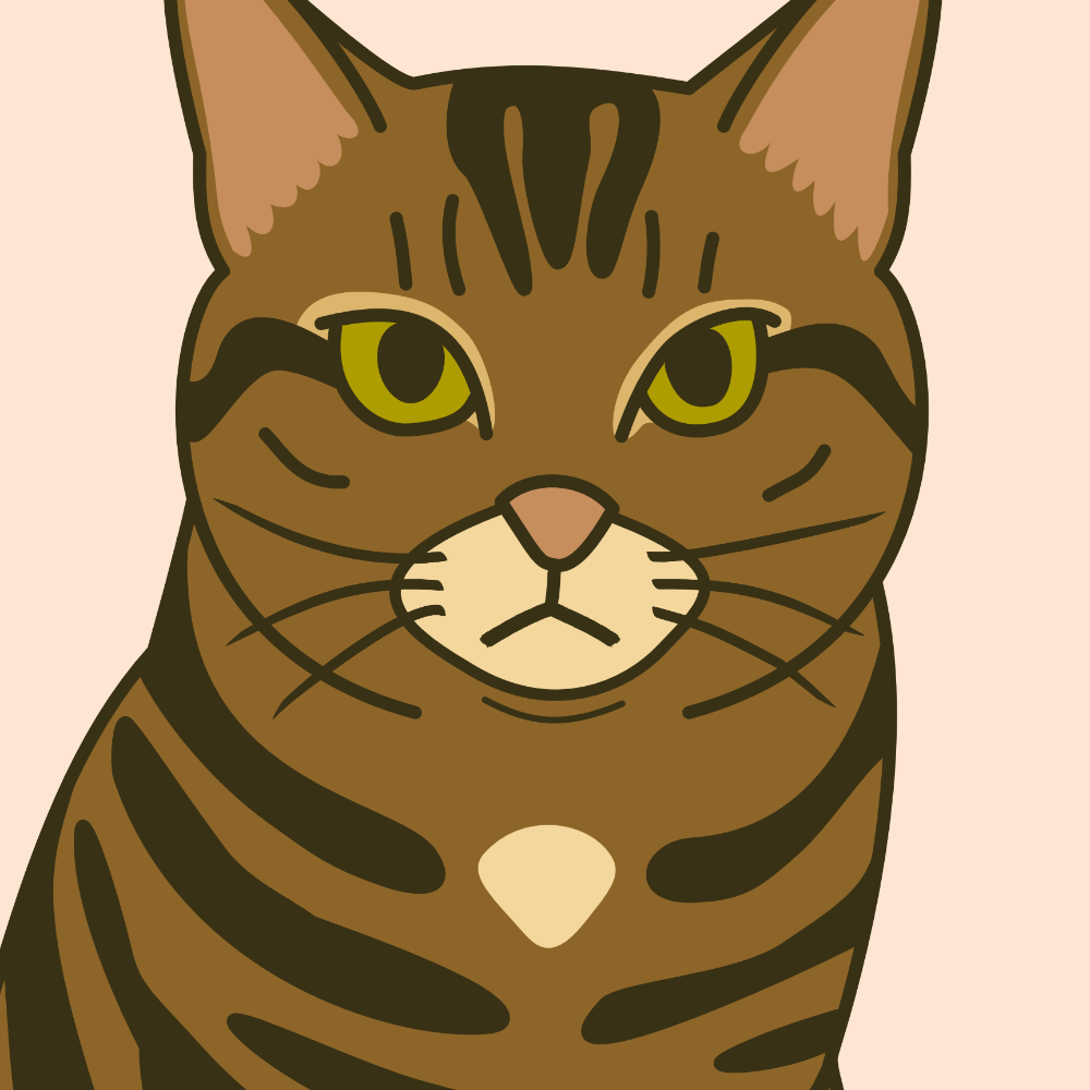 Illustration of the most beautiful cat in the world
