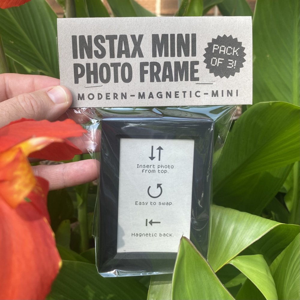 3D Printed Mini Frame